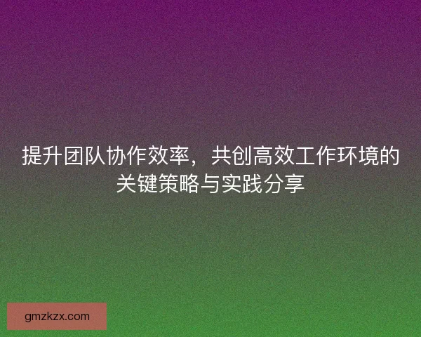 提升团队协作效率，共创高效工作环境的关键策略与实践分享