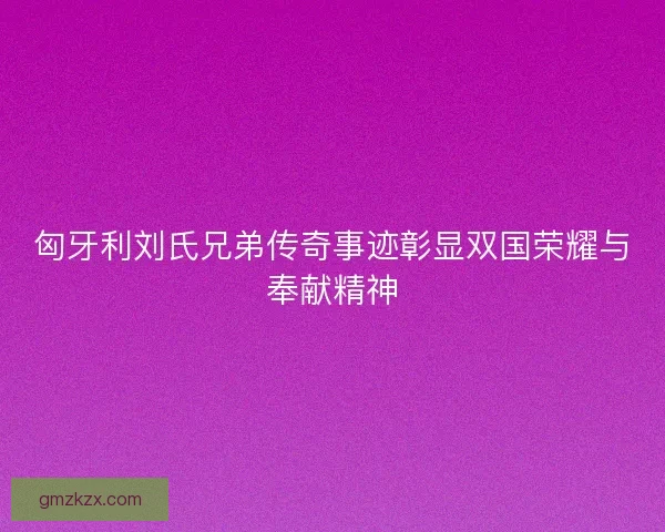 匈牙利刘氏兄弟传奇事迹彰显双国荣耀与奉献精神