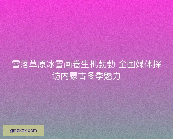 雪落草原冰雪画卷生机勃勃 全国媒体探访内蒙古冬季魅力 雪落草原冰雪画卷生机勃勃 全国媒体探访内蒙古冬季魅力